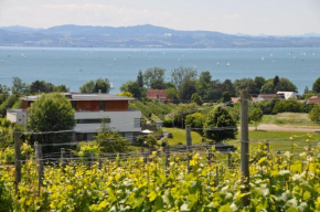 Ferienwohnung Weinbergblick